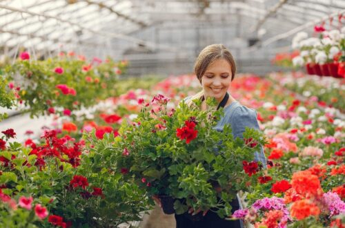 Garden Nursery