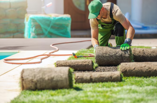 Landscape Design and Installation
