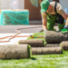 Landscape Design and Installation