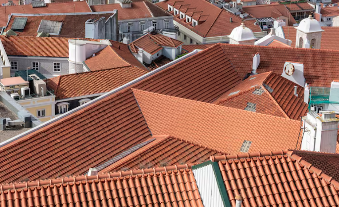 Professional Roofing