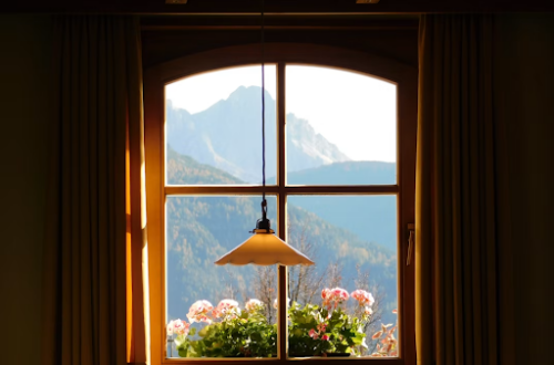 Window
