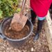 Soil Cremation Mixture